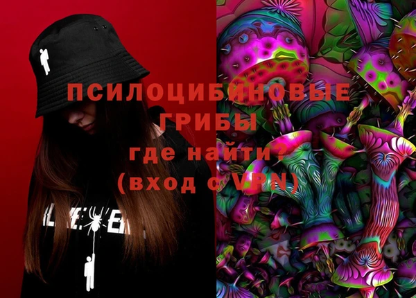 дурь Арсеньев