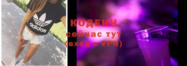 дурь Арсеньев