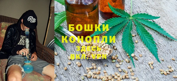 дурь Арсеньев